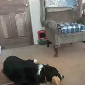 Meet your Posher, Barbara